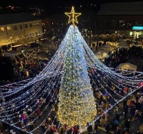 Kokią Kalėdų eglę šiemet puošti Plungės miesto centre?